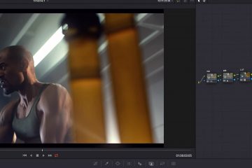 neat video vs davinci resolve